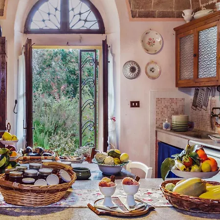 Agriturismo Il Palazzino Bibbona