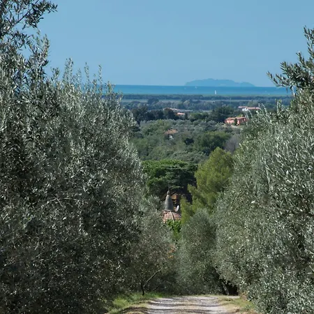 Hotel Agriturismo Il Palazzino Bibbona